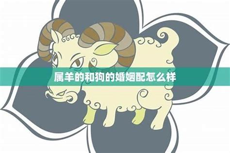 羊跟狗|属狗和属羊的合得来吗 属狗和属羊婚姻合不